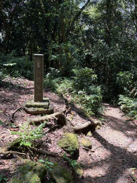 微笑山線：鳶山彩壁段3088386