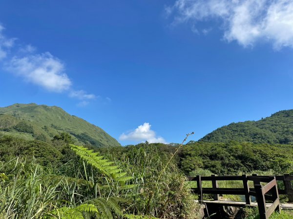 竹篙山山腰古道2204058