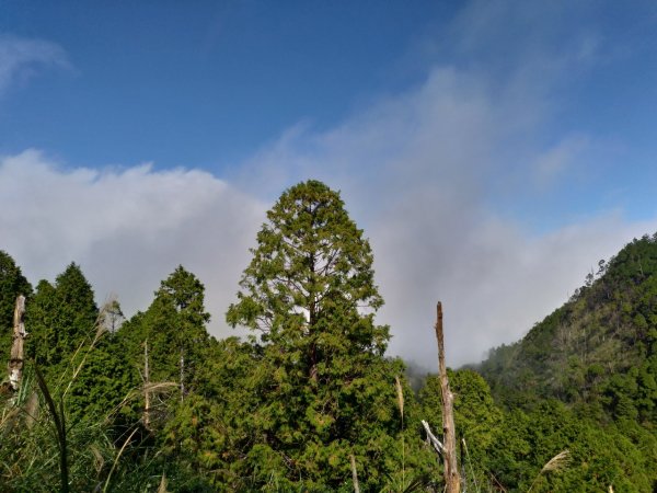 湖光山色－翠峰湖環山步道708050