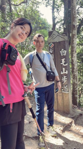 白毛山1309310