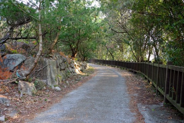 谷關七雄 | 東卯東南稜下松鶴1320747