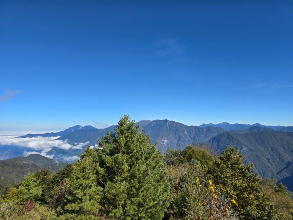 東埔山／鹿林山／鹿林神木2666719