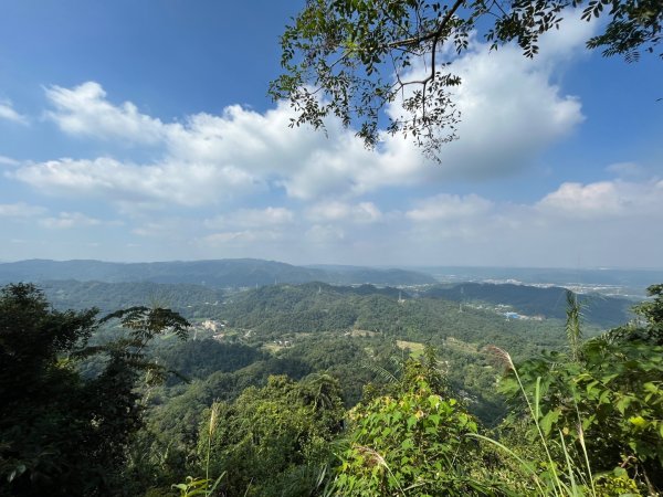 20231102_關西赤柯山（森遊竹縣）2762953