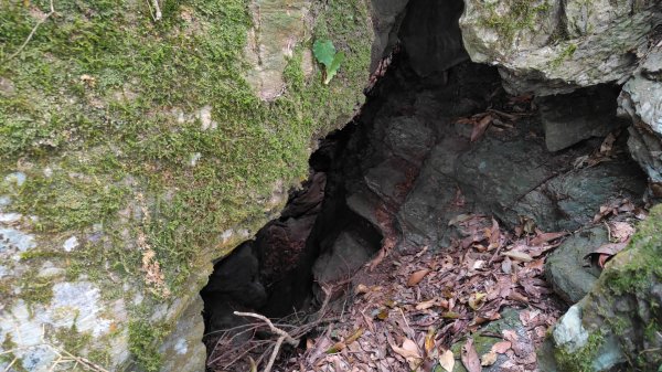 衣丁山單攻初體驗2025年3月30日2749818