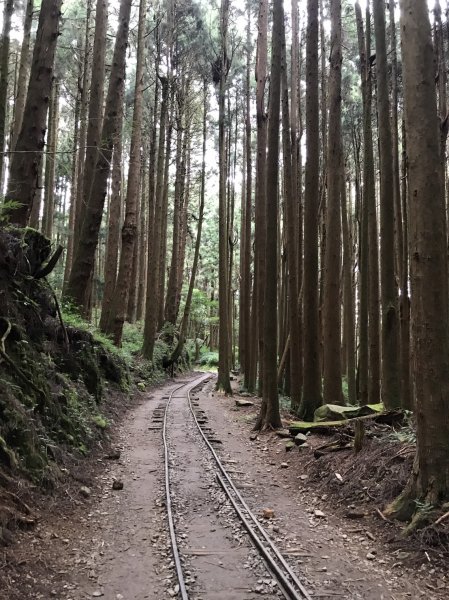 特富野古道1148338