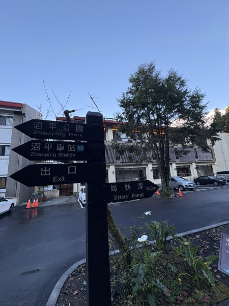 20251225塔山步道(大塔山)2970257