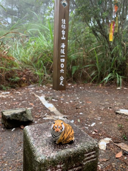 20200822台中和平東八仙山、至八仙山2544029