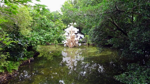 關渡自然鳥公園2322954