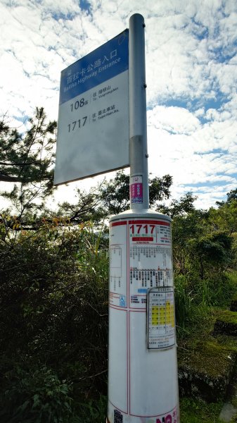 20260125 陽明山前後山健行(無極天元宮~山仔頂步道.向天池.向天山.面天山.二子坪)2998085