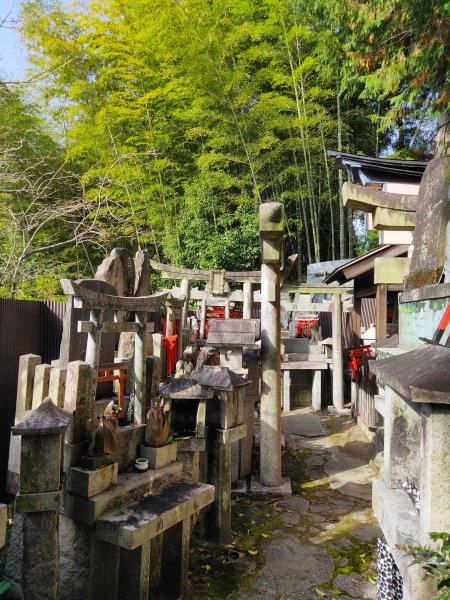 【海外健行】伏見稻荷-後山路竹乃下道上山頂一之峯 - 前山路千鳥居二之峯-荒木神1942870