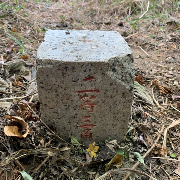 20250128高雄漯底山-北峰-西北峰2705205