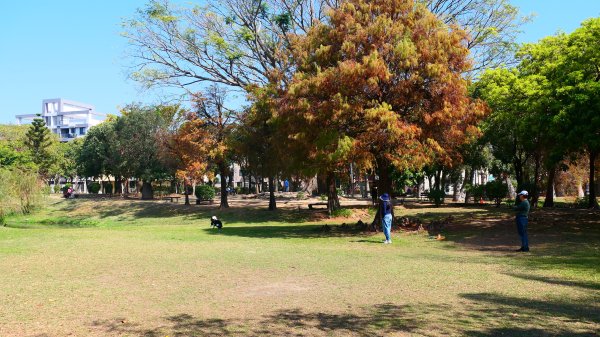 台南知事官邸等3002014