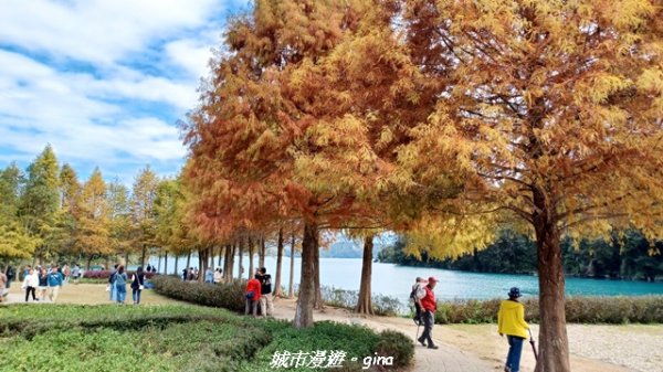 【南投魚池】悠遊騎乘。日月潭自行車環湖步道2961474