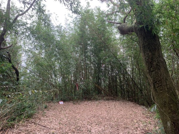 瑪陵坑群峰（七堵車站O型）2760803