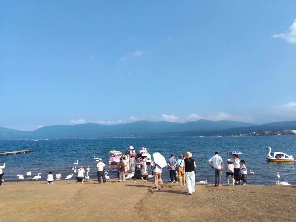 山梨縣山中湖(天鵝湖)3089736