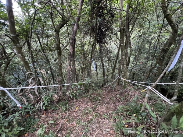 灣潭福德廟－南勢坑山－灣潭竹子山－七股古道－橫坪尾古道－灣潭古道－灣潭福德廟Ｏ形3079411