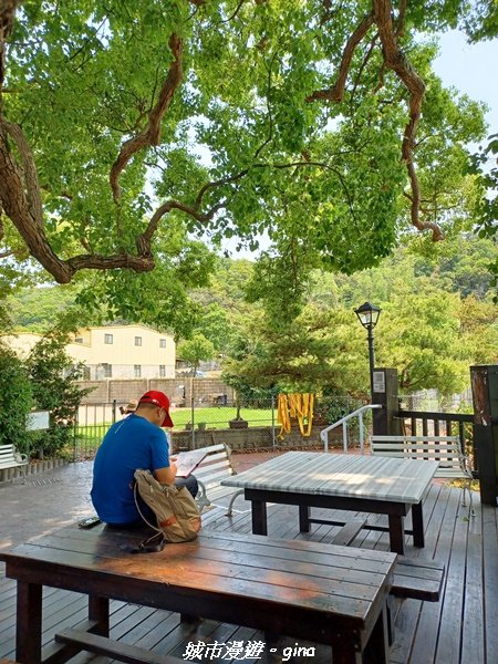 【台中外埔】高鐵觀景台、綠樹成蔭下賞桐花。 外埔水流東桐花步道2136914