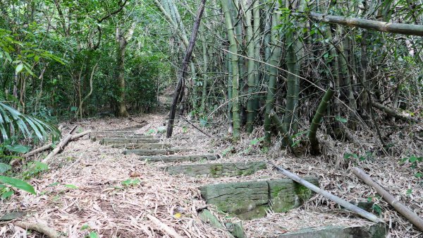 八勢古道,三空泉步道,貴子坑步道2545518