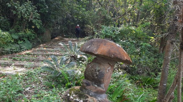 《台中》悠然雅緻｜后里毘盧禪寺小O精華步道202504042752318
