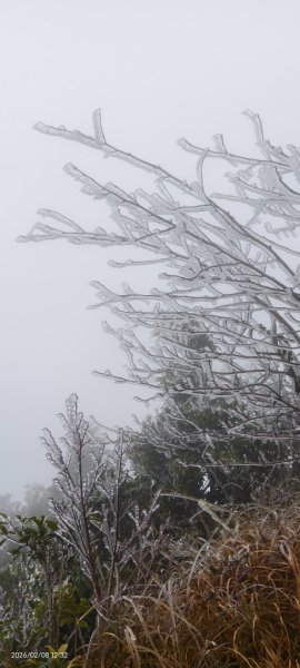 #霧淞 #雲海 #雲瀑 #霧虹 #太平山 #望洋山 #觀雲步道 #翠峰道路  2/82995341