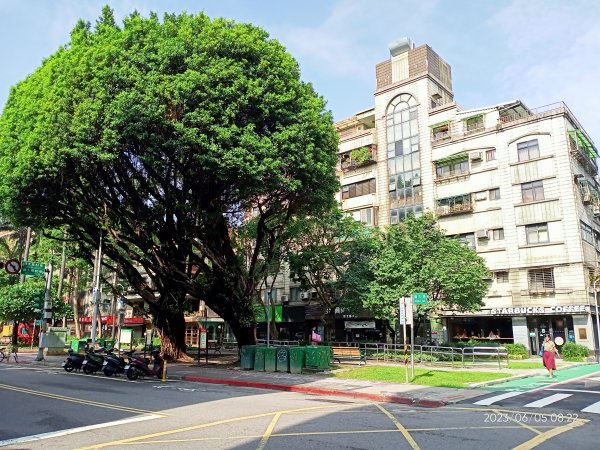 師大三角公園【走路趣尋寶, 全臺齊步走】2173215