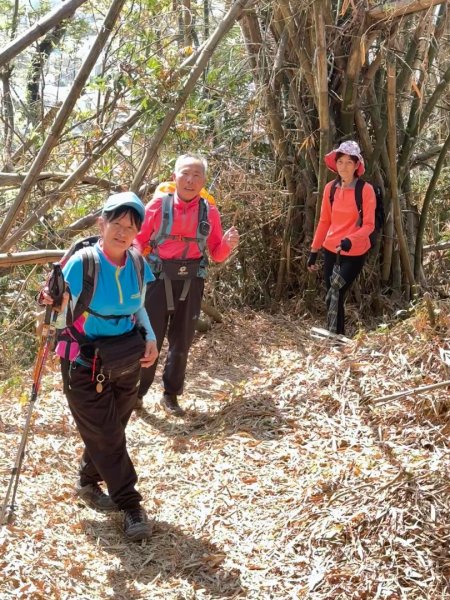 旗尾山(小百岳#)722765418