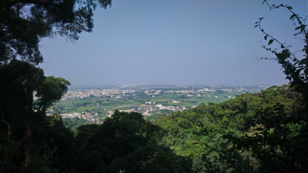 麒麟山森林步道1483333