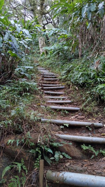 20230124_年初二_新店文筆山_土城清水大尖山_新加坡嶺_青龍嶺2011158