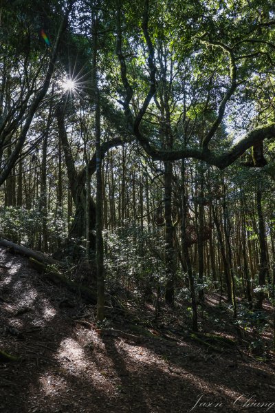 [台中]稍來山2425429