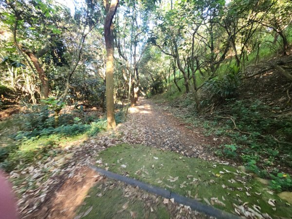 20250921學田山王田山大肚山大尖山竹坑山2928479