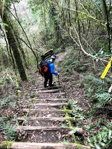 霞喀羅國家步道_石鹿登山口201901261964165