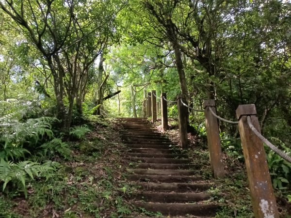 汐止區磐石嶺福興宮+581峰+雙十塔+耳空龜山+四分尾山+大尖山2805711