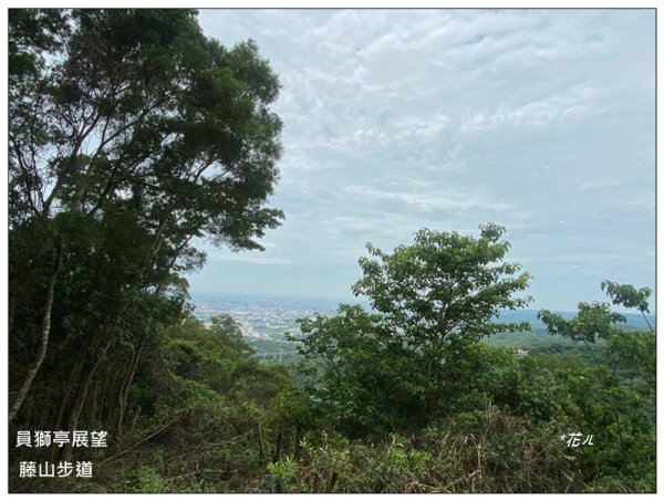 樟普寮山、藤山步道、微熱山丘3107229