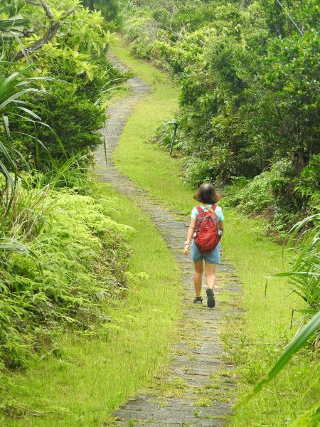 綠島 步道漫走2532125