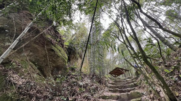 米堤香蕉園-鳳凰山-鳳凰南峰（台寅山） -金柑樹山-金柑樹山西北峰-領頭山東峰-忘憂森林2551820