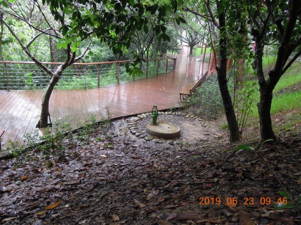 20190623_五酒桶山O繞841568