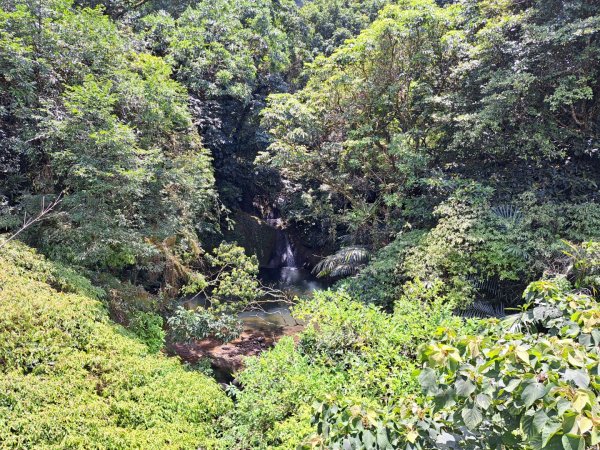 2026微笑山線平溪小黃山段3103434