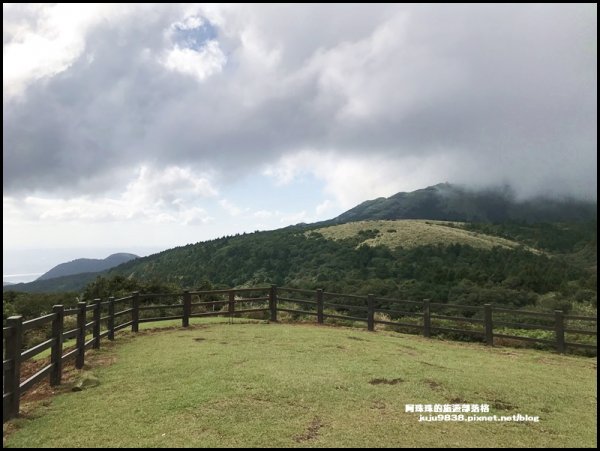 陽明山冷擎步道｜擎天崗賞芒花看牛隻漫步1183598