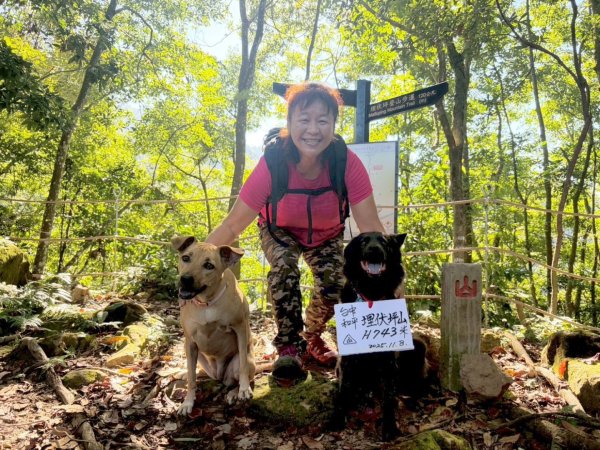 雙崎埋伏坪山歩道、鯉魚潭水庫、大峽谷2938948