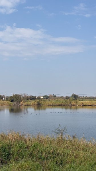 🚴‍♂️ 台南單車慢漫遊3003309