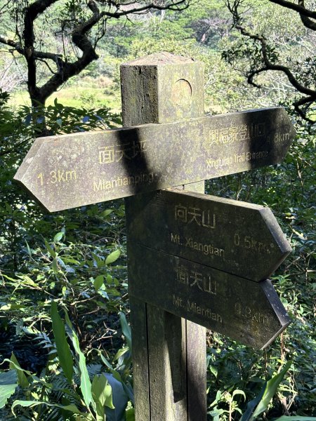 面天山、向天山、向天池2921035