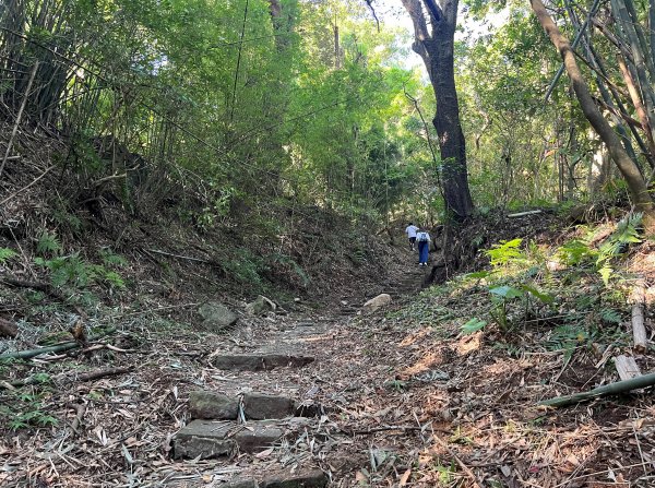 [走遍陽明山]2023_0910_紗帽山步道2280370