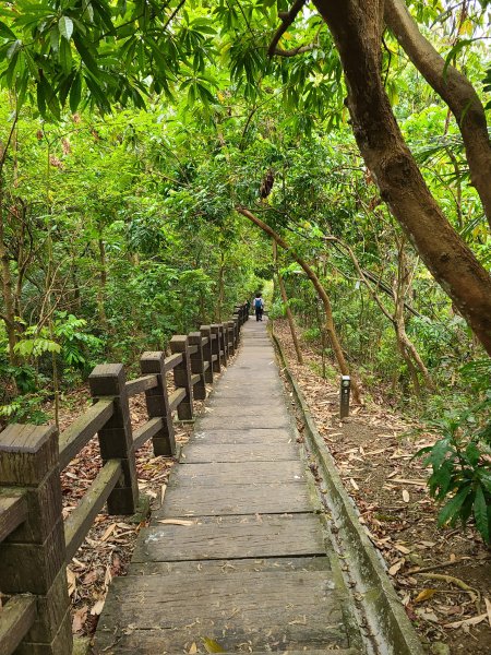 大坑10號提前修好啦(10號上+6號+7號下)2753649