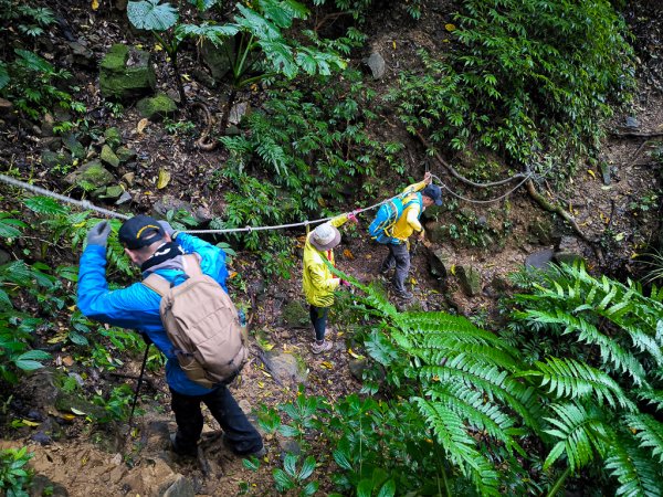 2025-03-08 汶水三山：金童山、汶水山、玉女山 連走2736556