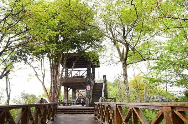 【高雄】聽森濤游樹海--藤枝森林遊樂區.睽違10年重新開放