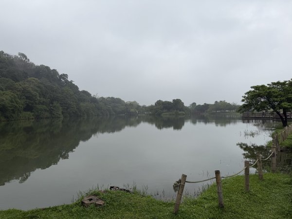 [樟之細路_第一大段RSA01] 2026_0329 三坑自然生態公園3026786