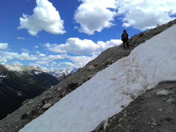 Iceline Trail (YOHO 加拿大幽鶴國家公園)2634600