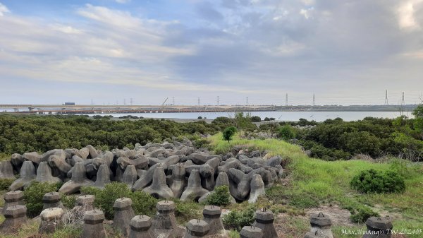 《台中》海堤長廊｜麗水漁港健行202405172506429