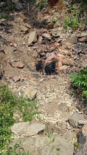 西阿里關山3033616