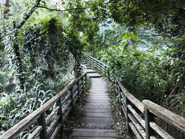 [玉山尋寶任務-07/12] 2025_0824 八通關雲龍瀑布步道2870411